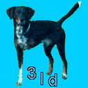 3ld logo- portrait of Maxy, a 3 legged dog